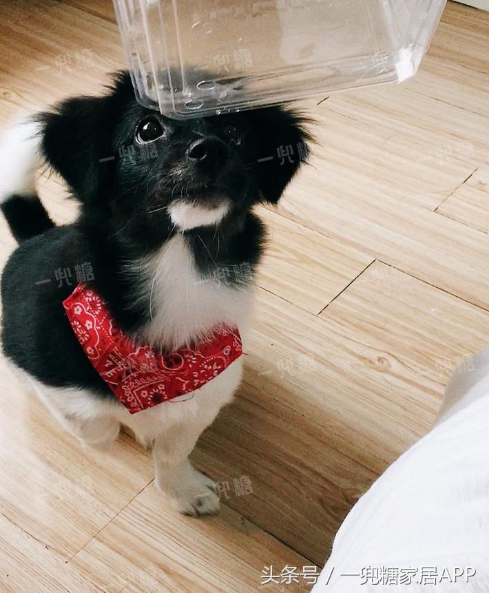 18平米单间改一厨一卫一室一厅,18平方改一室一厅