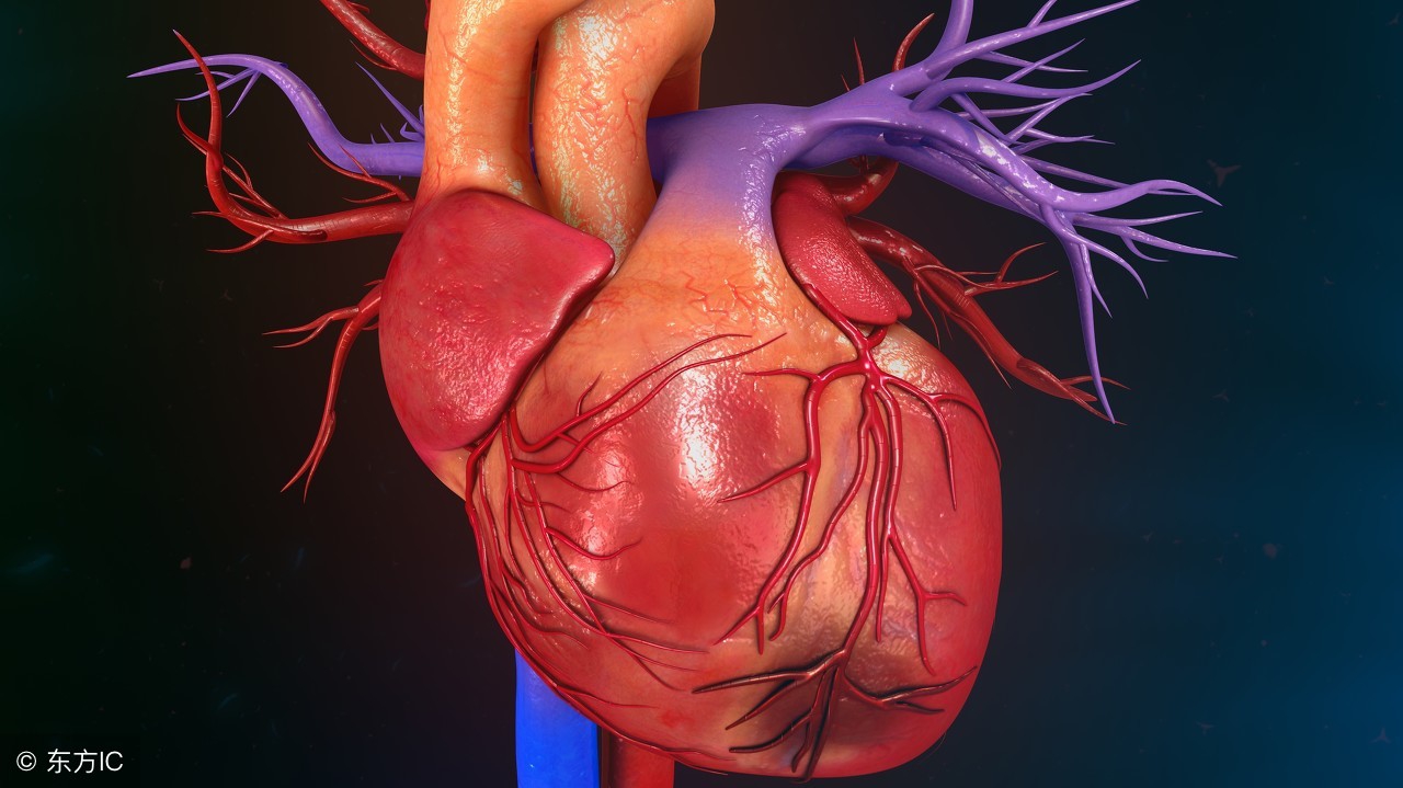 冠心病护理的主要内容,冠心病的护理方案视频