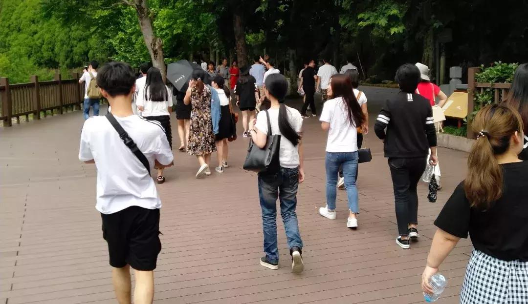 提升团队战斗力的团建活动,团建增强凝聚力