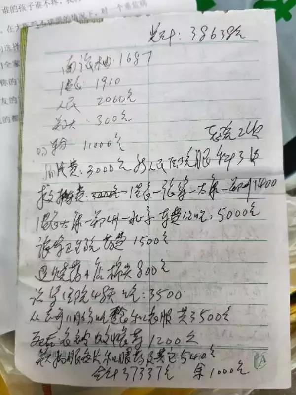 河南眼癌女童母亲“诈捐”事件还原