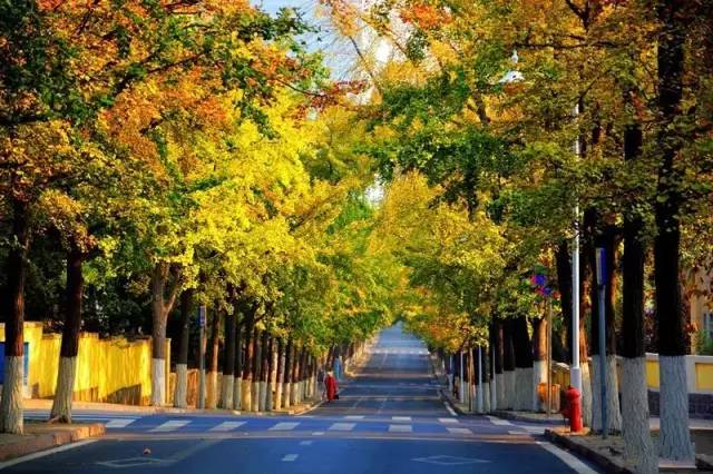 当你一无所有的时候谁会陪着你,当你一无所有的时候谁还会陪着你