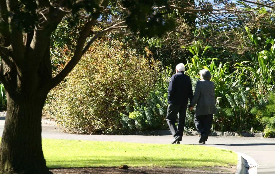 肥胖肠胃不好吃什么,心脑血管病变导致胃不好