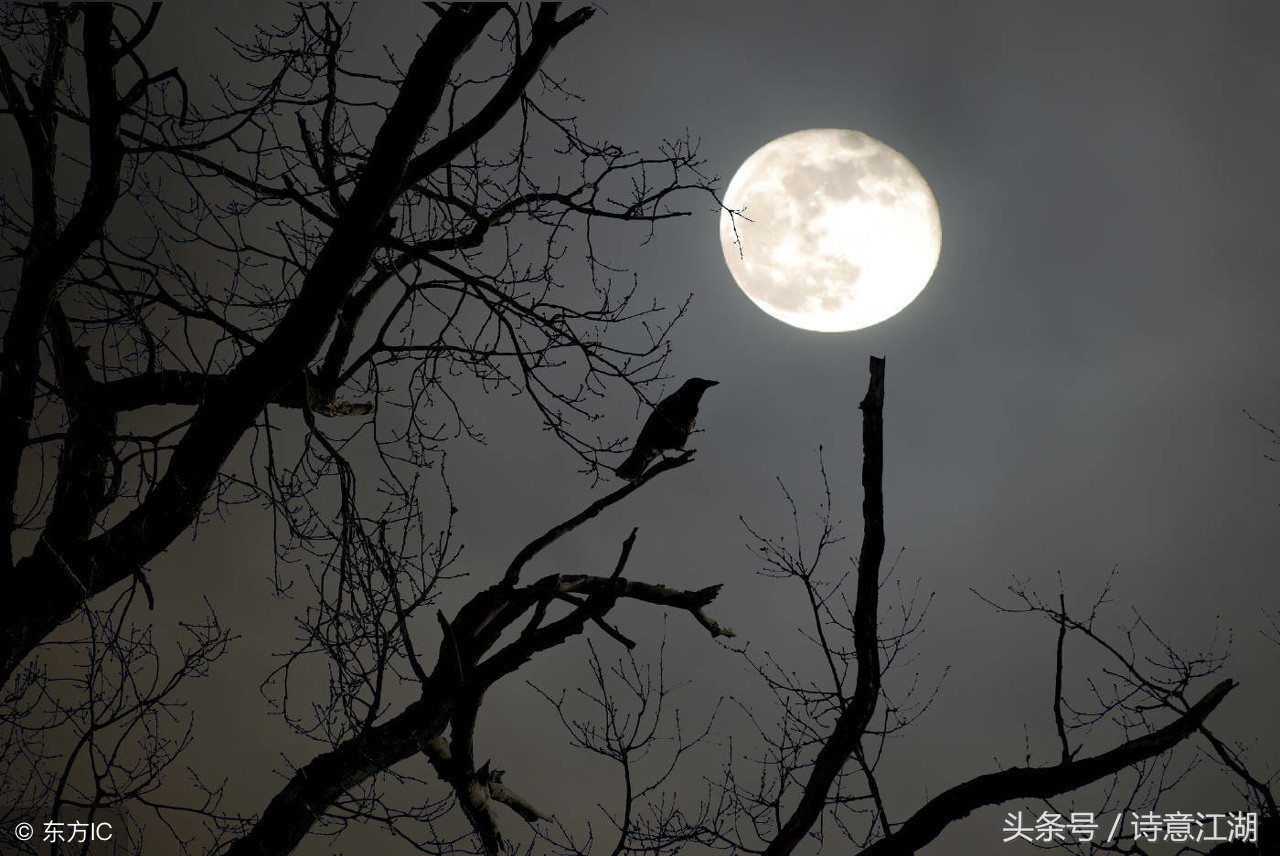 关于月亮的诗句和情感,跟月亮有关的诗句及表达的情感