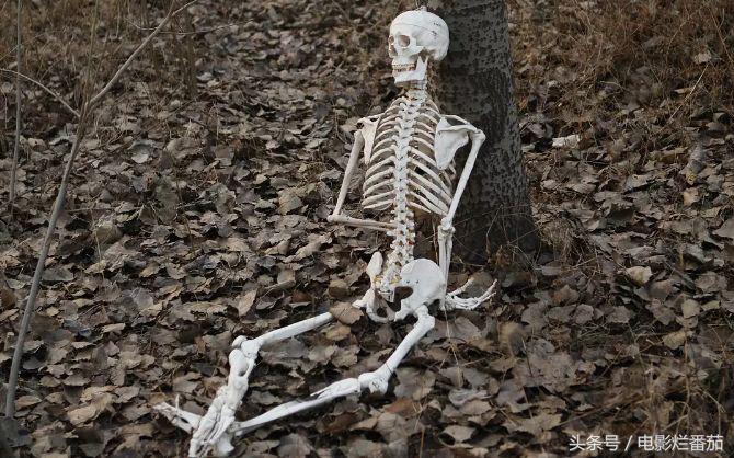 国产电影保护月是真的吗,国产电影保护月