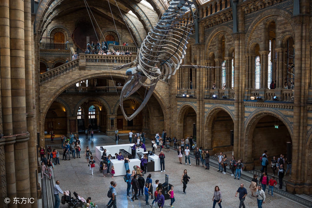 英国电视剧名姝第一集,名姝第一季英国电视剧