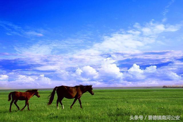 国内十大景点,中国人公认旅游地方