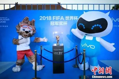 世界杯最热卖的产品是什么,世界杯什么产品比较好卖