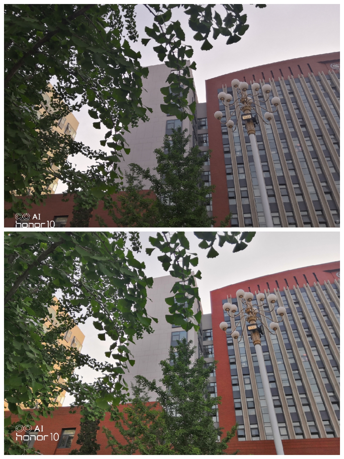 荣耀10拍照片怎么样,荣耀10值得买吗2019