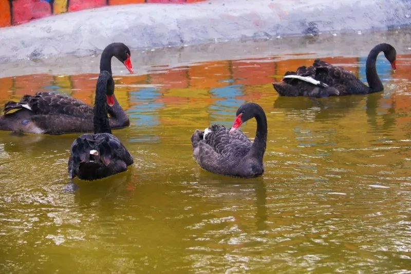 亲自然亲子户外活动太原,太原六一带孩子去哪里玩比较好