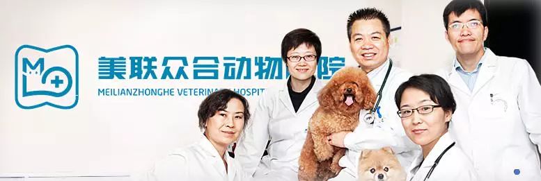 出口转内销狗粮,出口狗粮走什么贸易方式划算