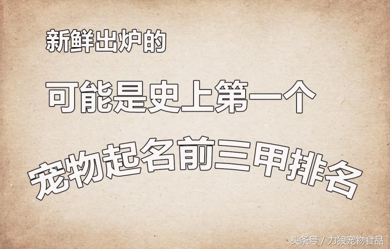 你给宠物起过哪些奇葩的名字？盘点那些让人印象深刻的宠物名字！