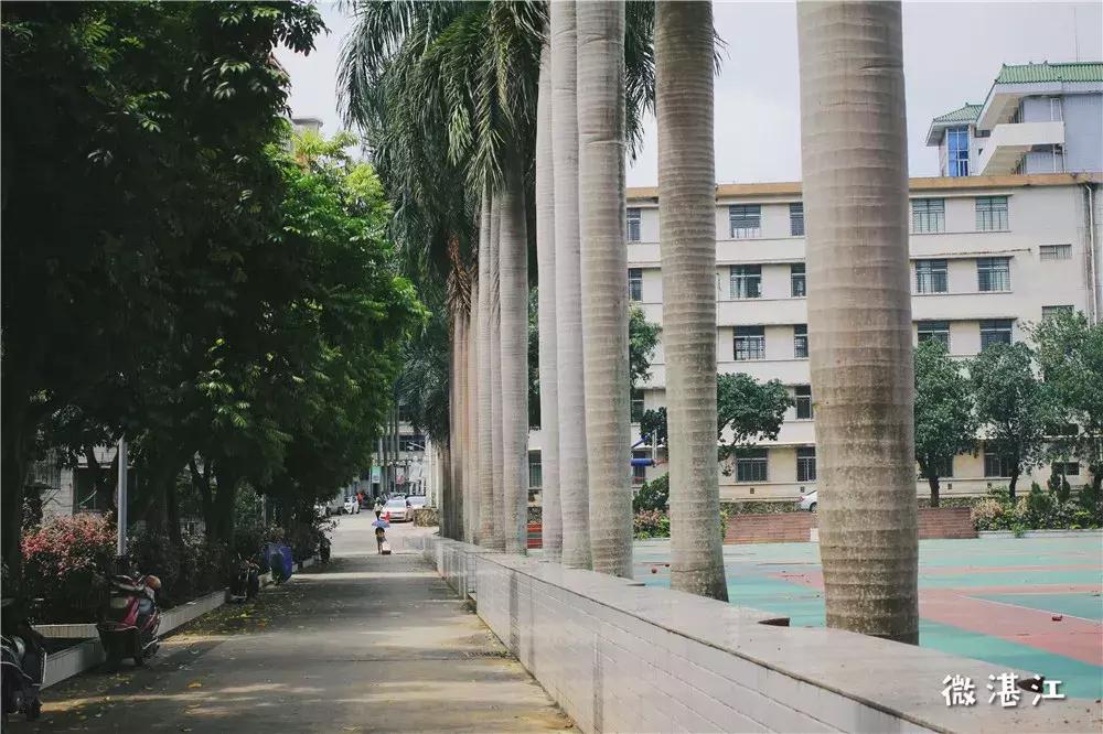 再见了四年级,再见了四年级的时光