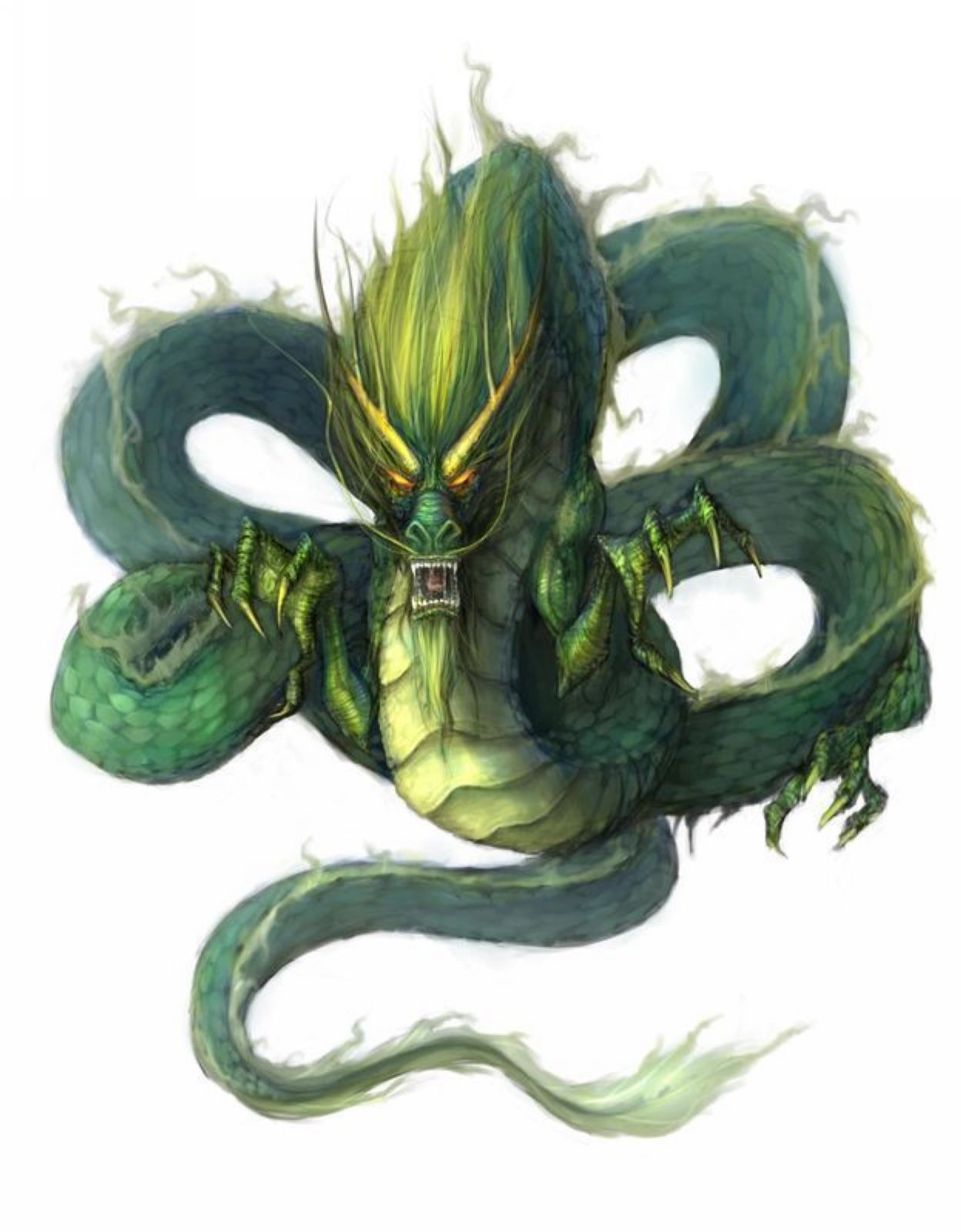 各种西方龙的画法高清图片,西方龙的种类和等级划分