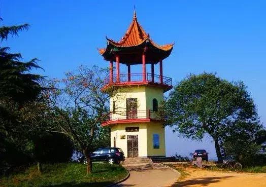 赣榆赶海海葵,自驾游露营野炊赶海