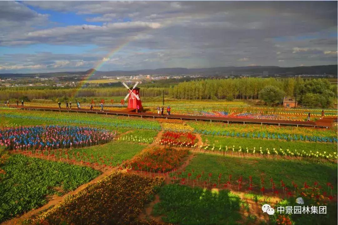 龙井市召开重点项目调度会,龙井市项目建设
