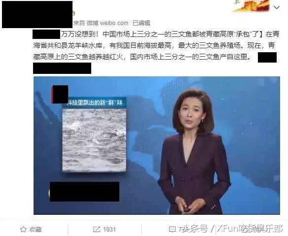 真假三文鱼,真假三文鱼完整版