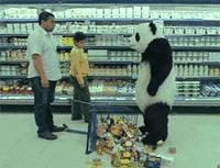 真假三文鱼颜色,真假三文鱼肉质口感有什么区别