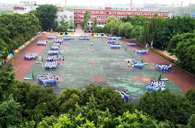 成都武侯外国语学校体育组,武侯区教科院