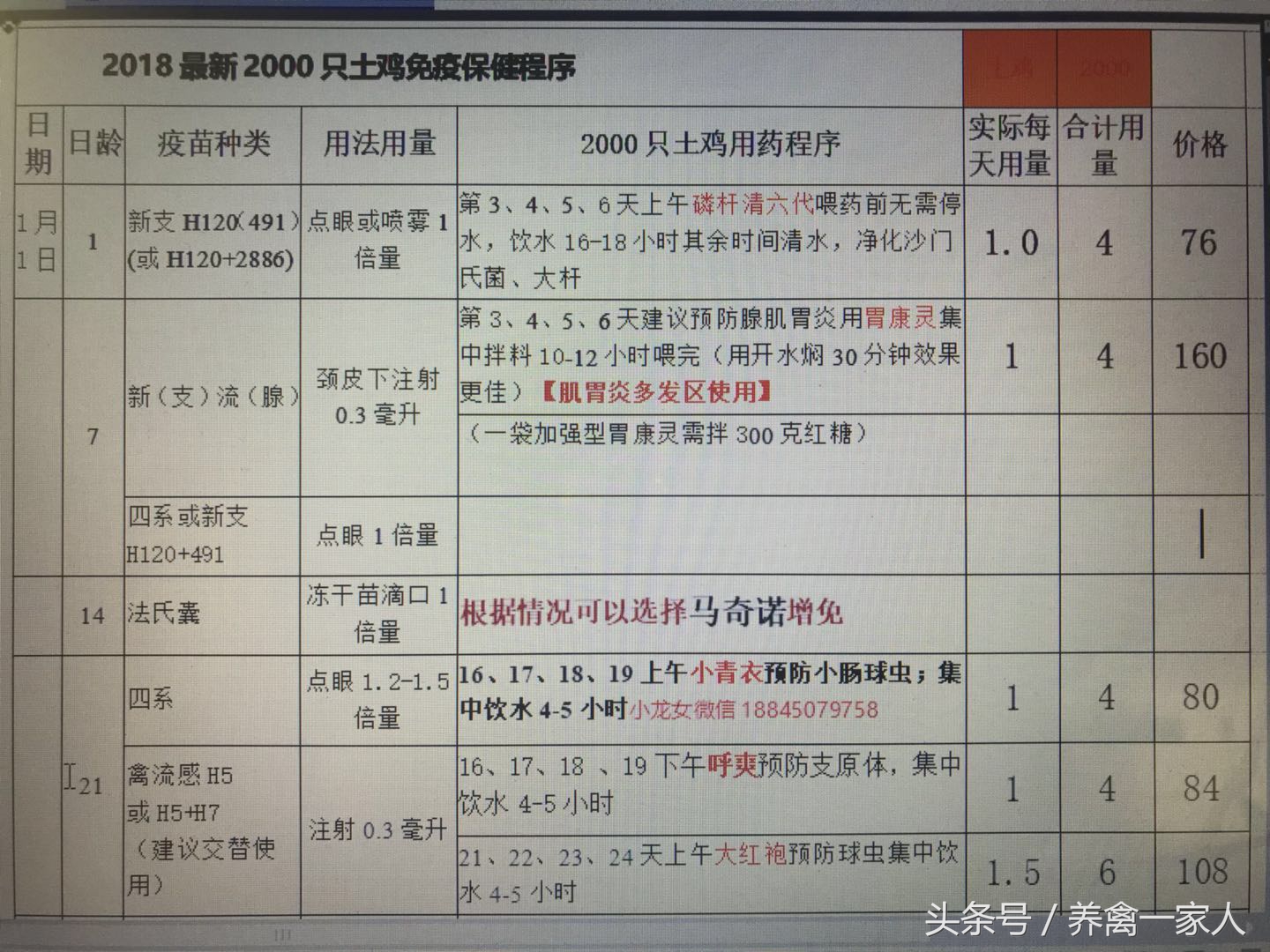 养鸡秘诀：揭秘雏鸡糊肛的五大原因，学会了雏鸡成活率肯定提高！