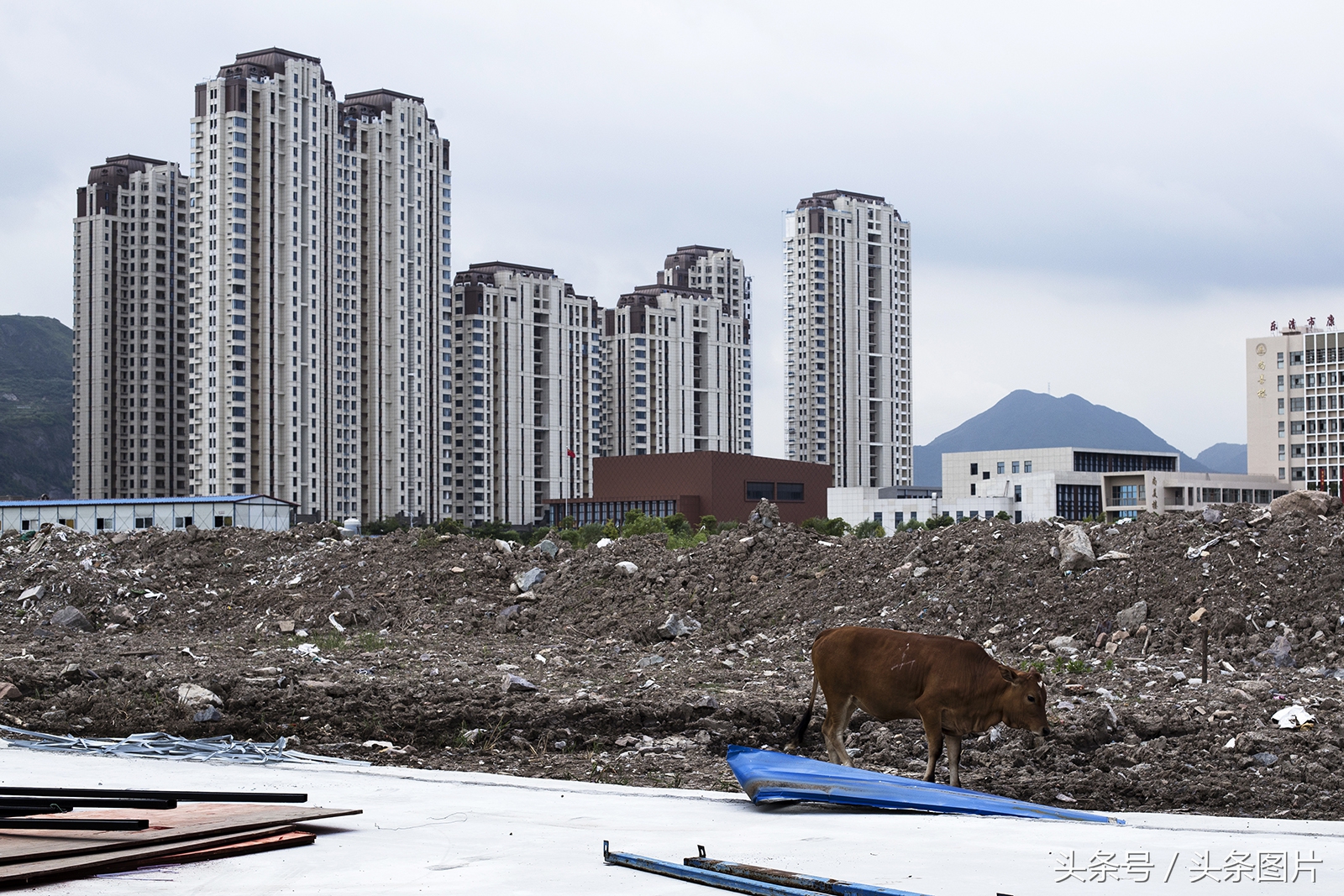 归来的*亡流**:留学法国的温州姑娘拍下了她寻不回的故乡