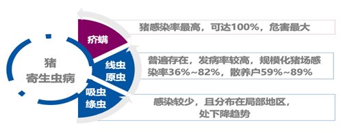 伊力佳伊维菌素,伊维菌素新一代