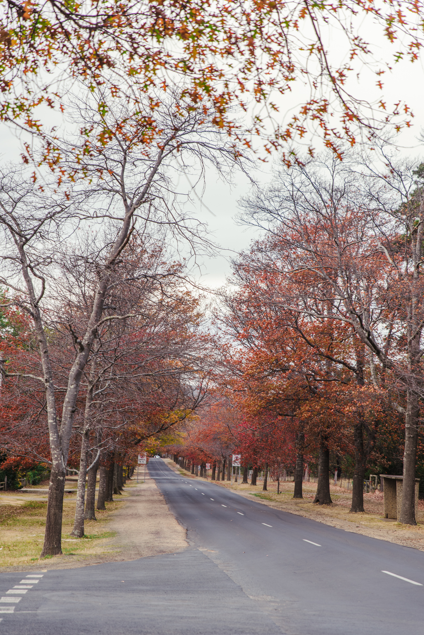 澳洲墨尔本8天游,澳洲悉尼墨尔本九日游