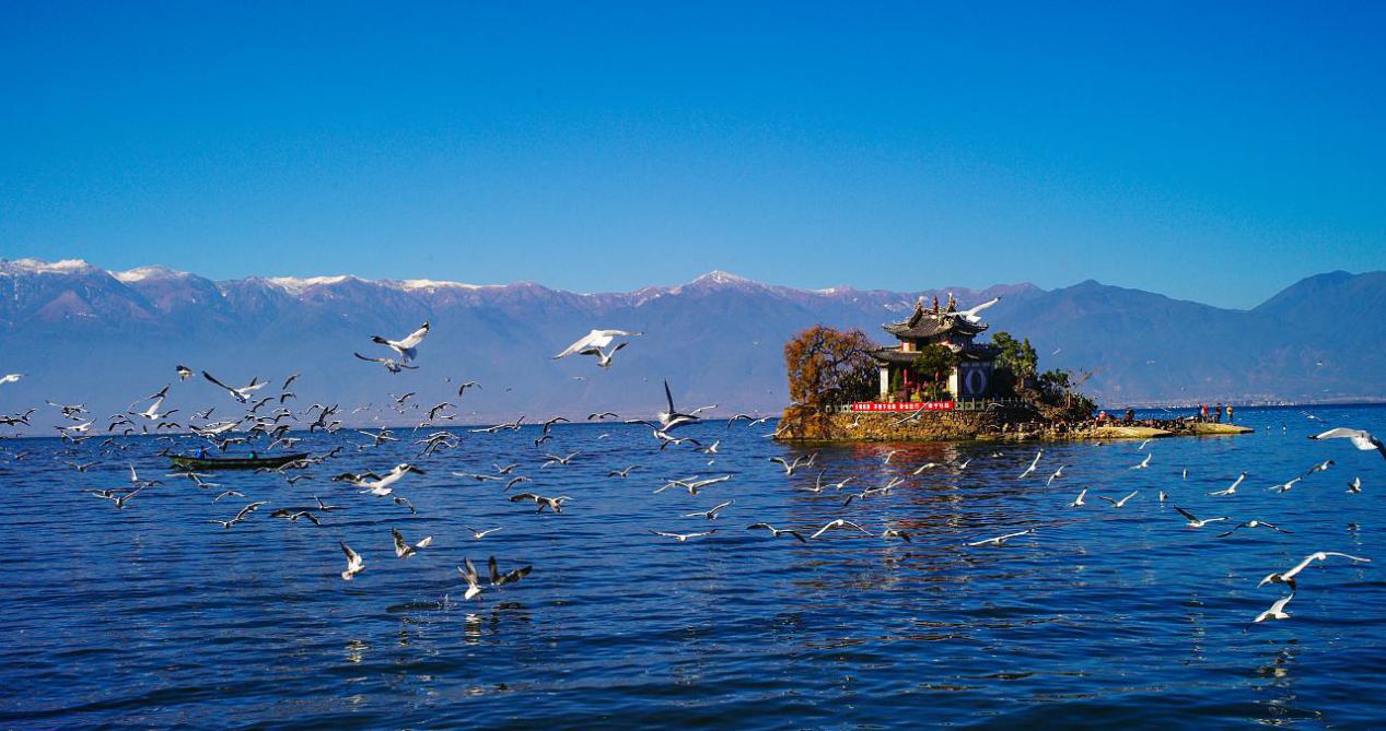 吉特士奶粉,吉特士有机奶粉排名