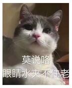 昆山楼市9月成交数据,昆山楼市每日成交量