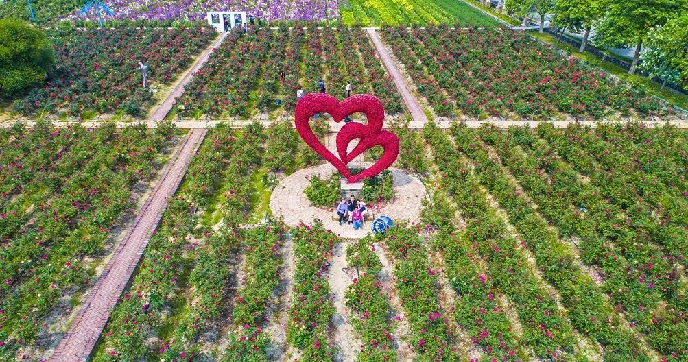 广州周边自驾游好去处亲子,广州周边自驾游亲子两日游攻略