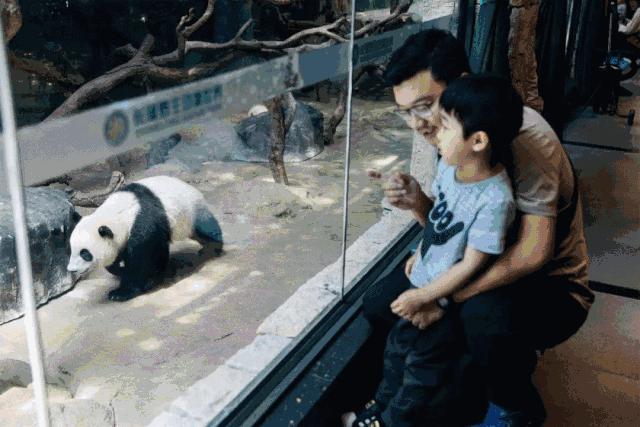 广州户外亲子游玩好去处,广州适合亲子旅游的地方