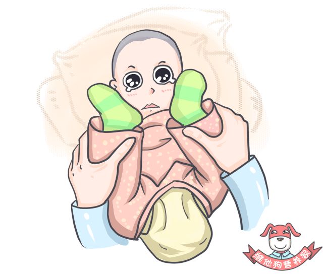 令人困扰的便便儿童科普,关于便便的小知识