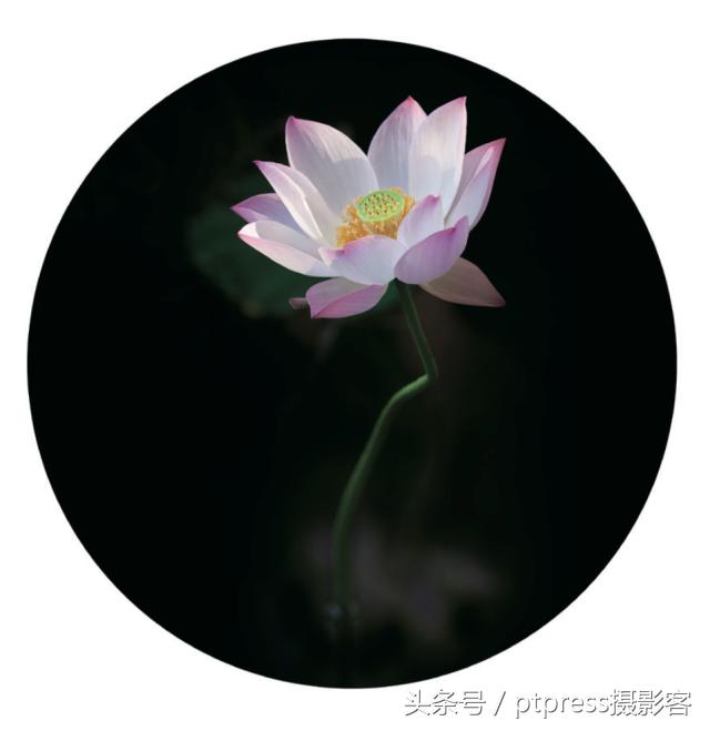 摄影后期六大剪裁技巧,摄影后期排版技巧图片