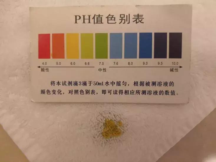 北京嘉里大酒店测评,北京嘉里酒店排行榜