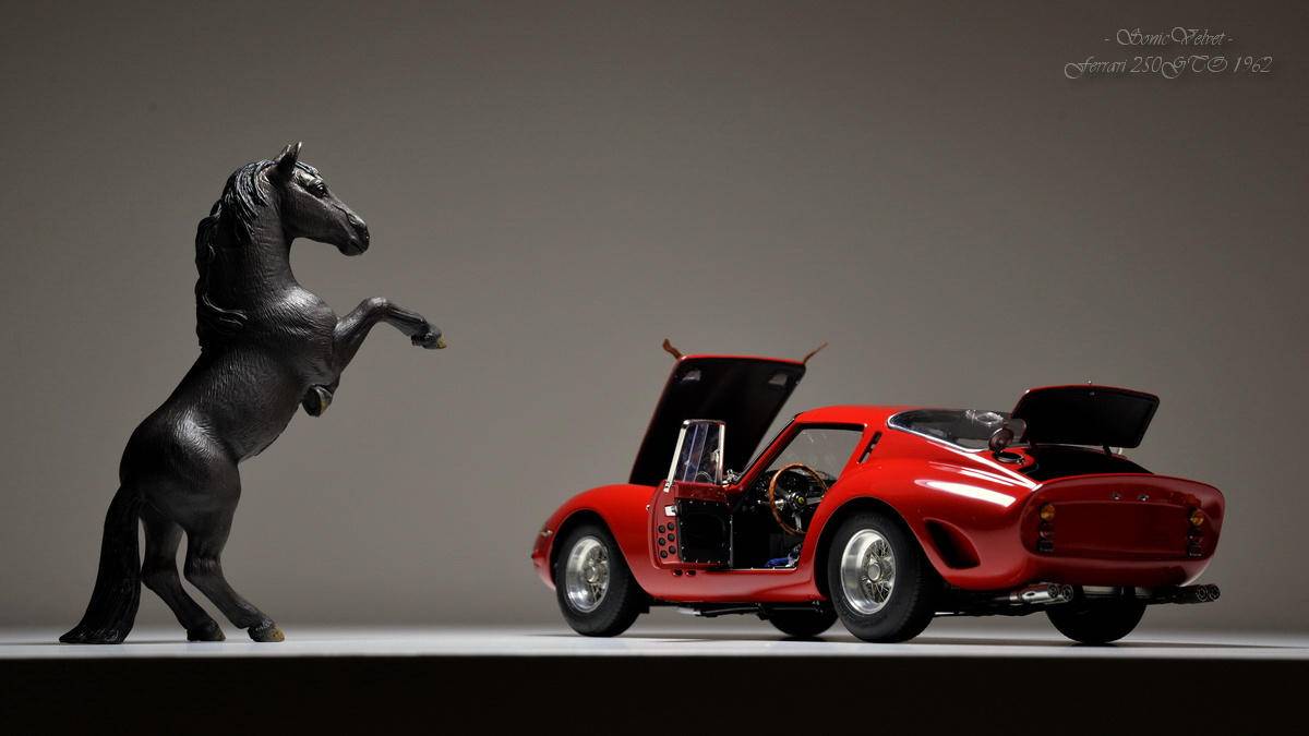 今天六一！都说男人是长不大的孩子！不如买个车模送自己？