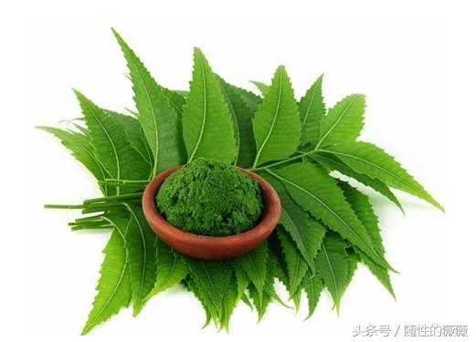 头发掉得厉害有什么防脱的办法,头发掉得很严重怎么保护好毛囊