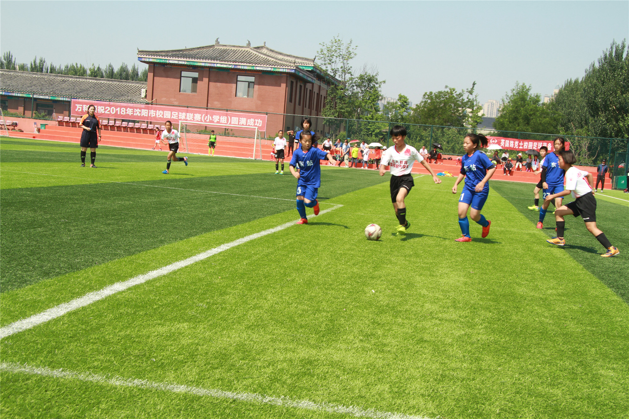 法库卧牛石小学足球,卧牛石乡中心小学足球