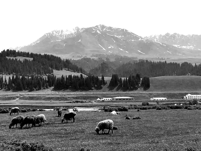 独库公路风景欣赏,独库公路的百里画廊全程最新地图