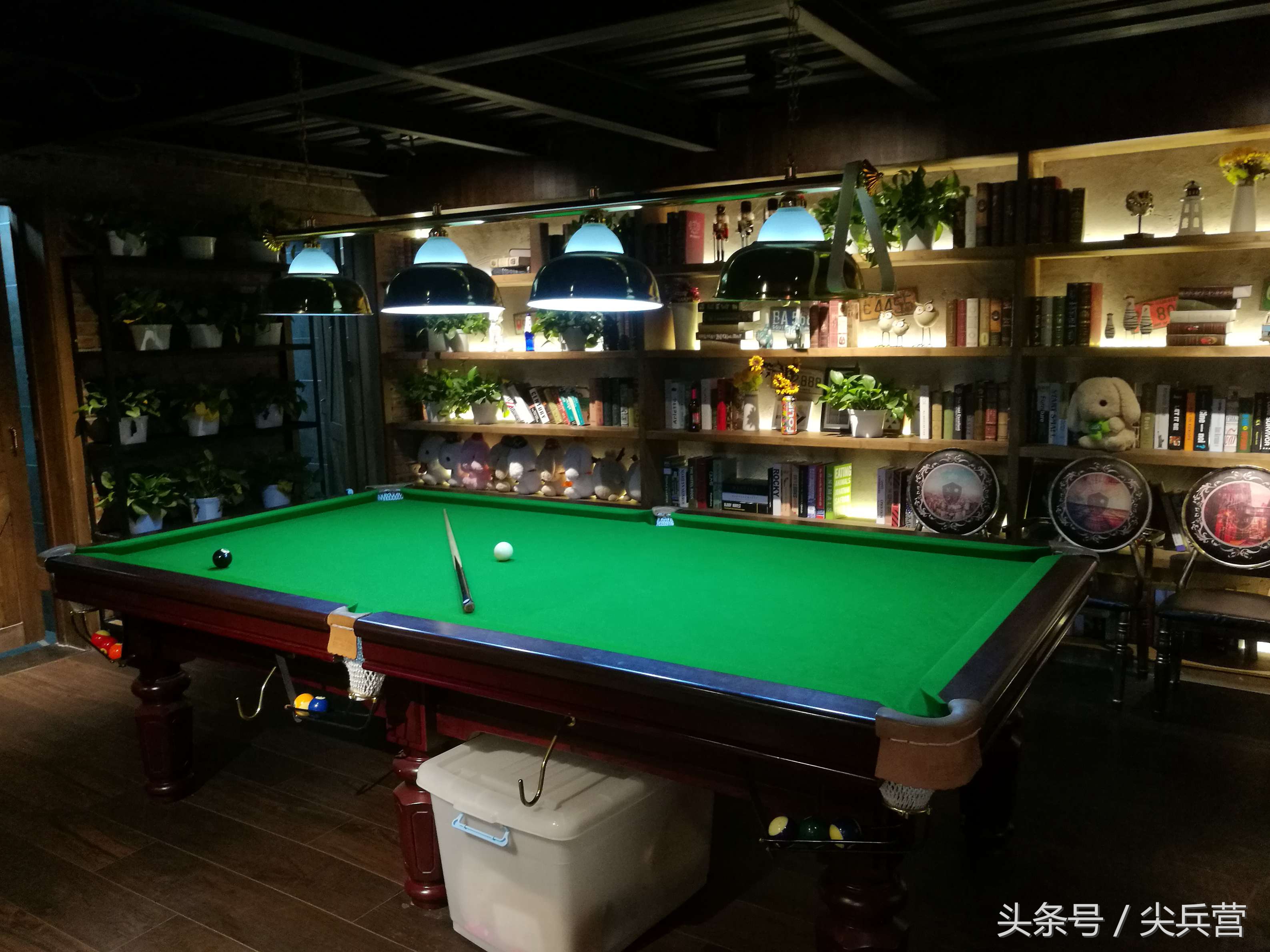 回声嘹亮压轴表演嘉宾,回声嘹亮什么节目