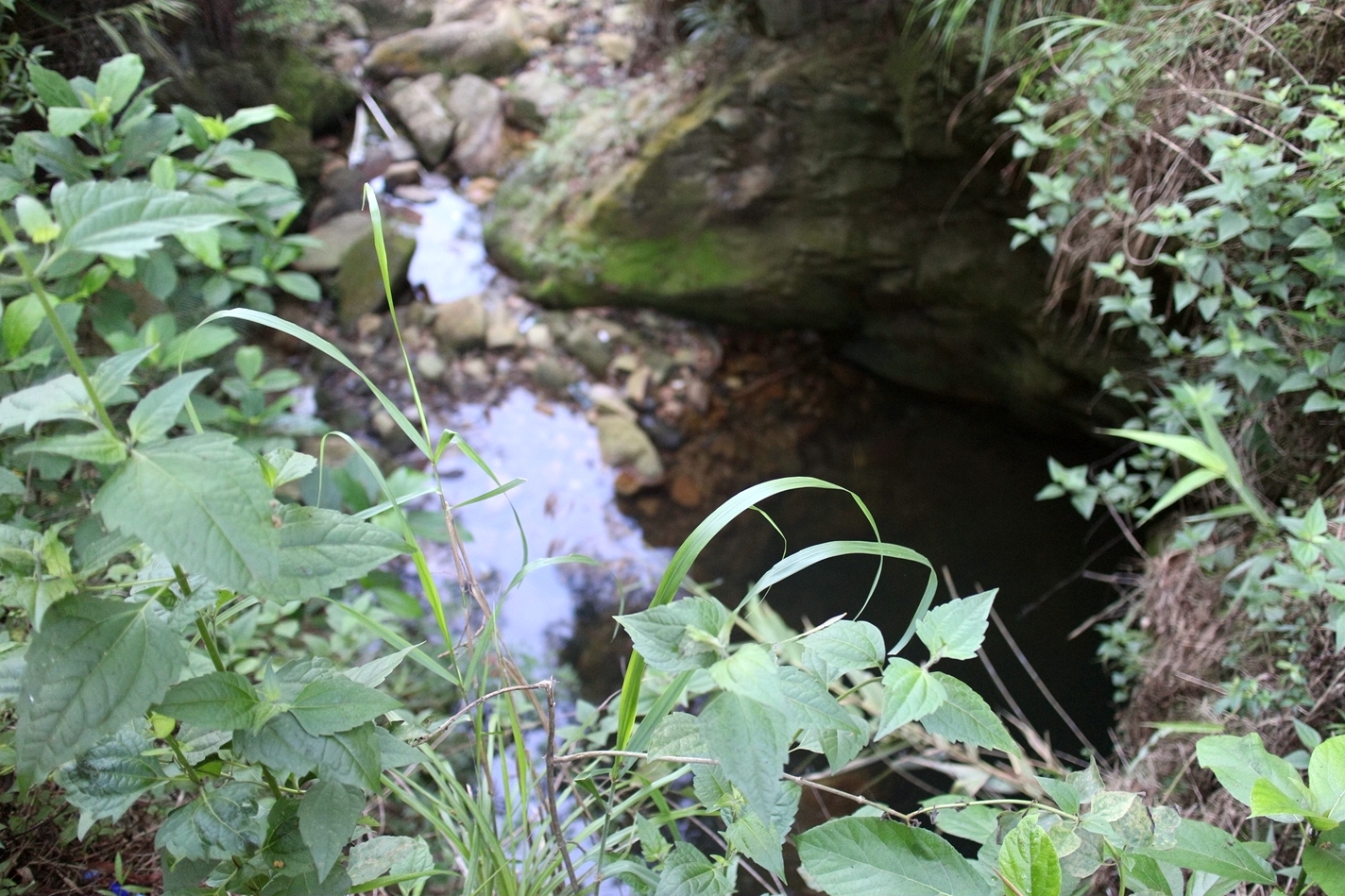 值得购买机械表,买哪款运动手表性价比高