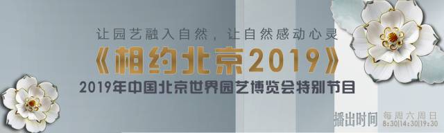 相约北京艺术节,相约北京文化艺术节