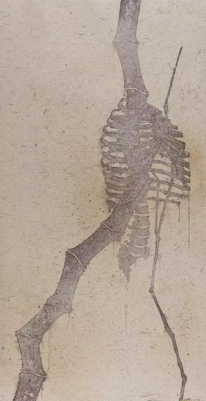 超越预知的可能——谭军谈纸本绘画综合技法