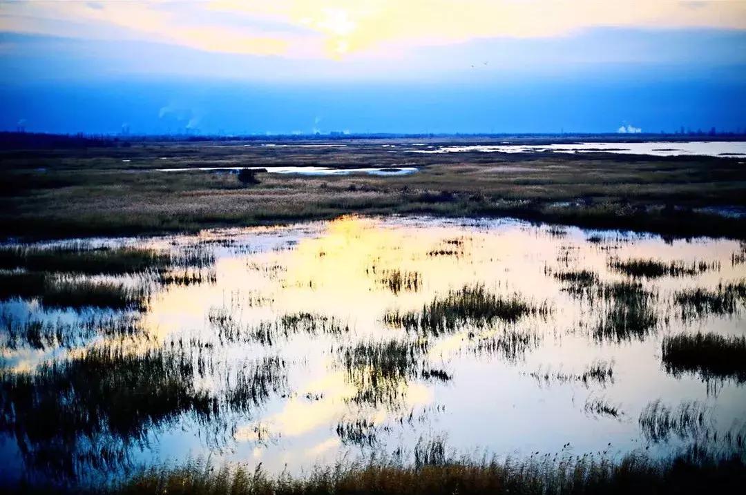 他用对葡园的爱拍出了这片人间仙境