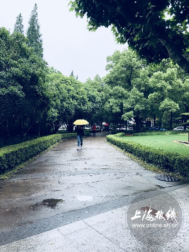 绿树成荫景色宜人清新空气,绿树成荫环境优美空气清新