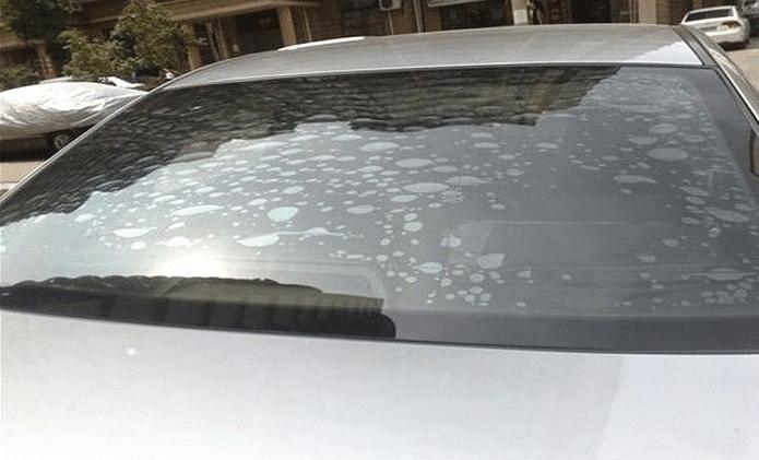 史上最全面车膜测评,车膜哪个牌子好用又实用