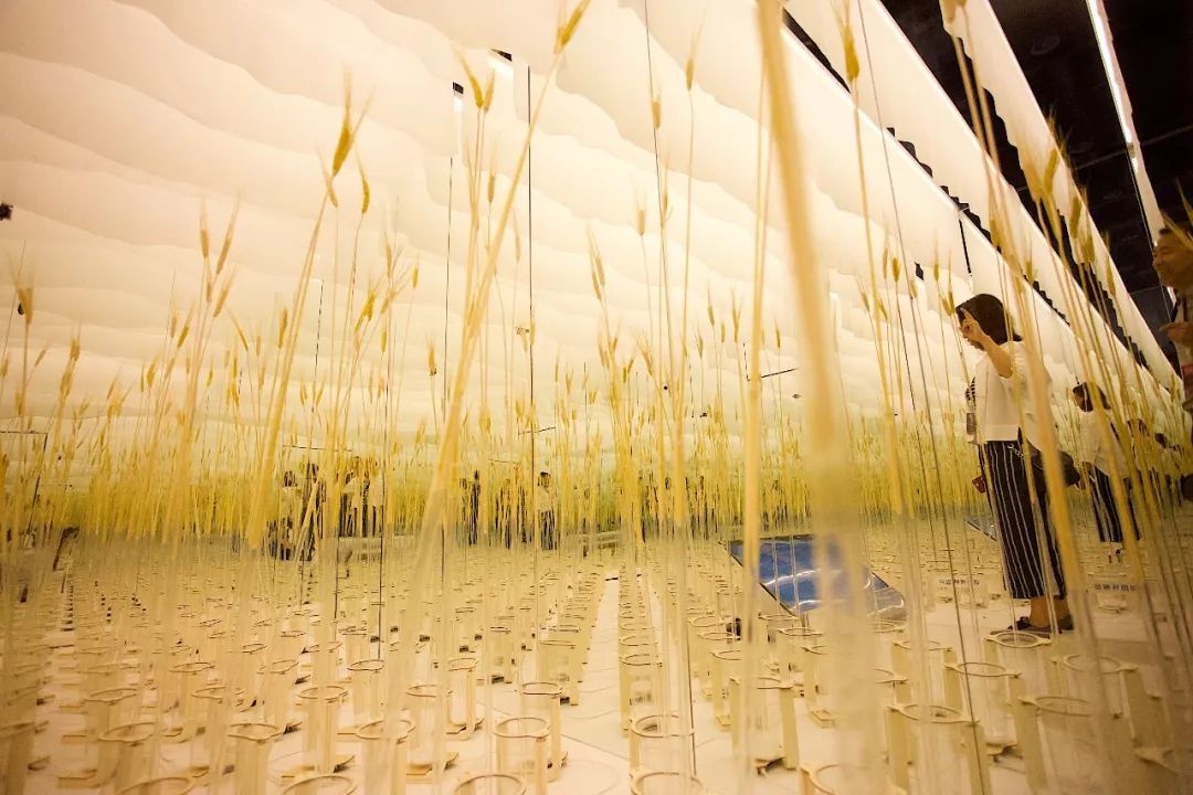 杭州人对未来的好奇心彻底爆发！10多万人在钱塘江边“看到未来”