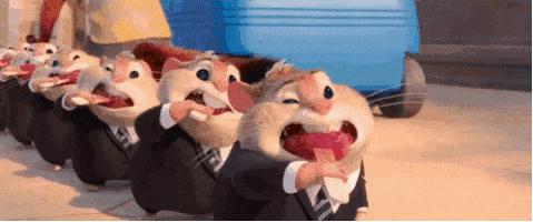 合肥最贵贵贵贵贵的餐厅汇总，还没看到最后一家我就哭了~