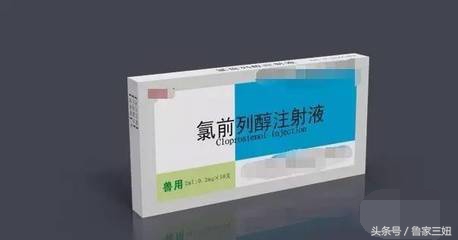 母猪管理技术视频教程,夏季怎样赶母猪下产床