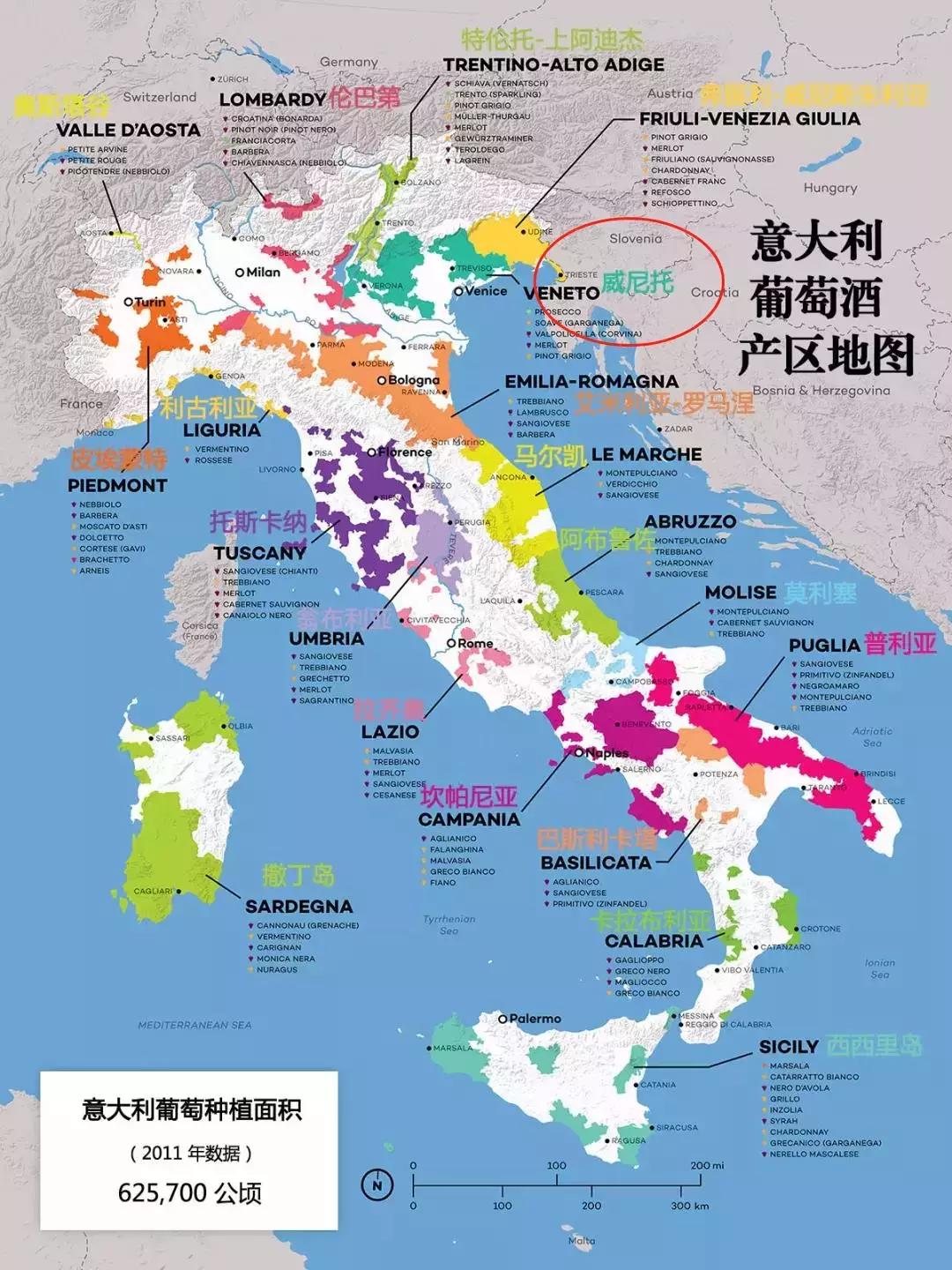 意大利阿玛罗尼红酒2010价格,阿玛罗尼酒评