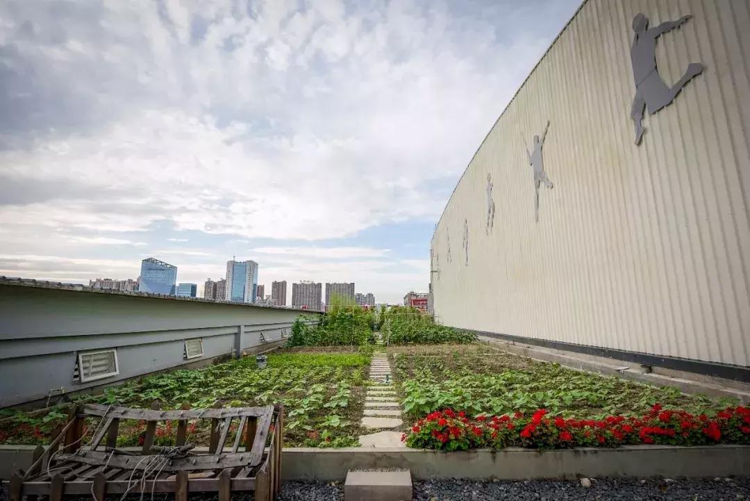 成都看世界杯推荐去处,成都有哪些天台