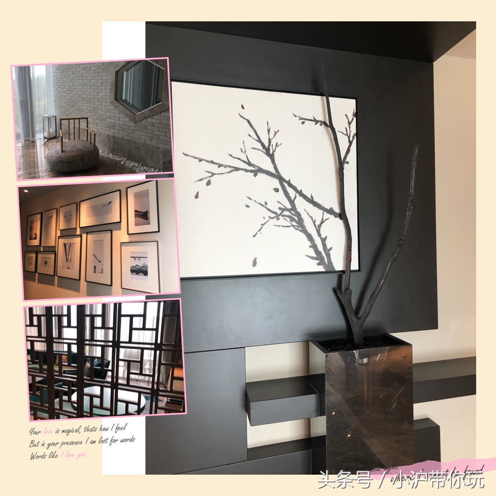 我在苏州太湖湖畔的万丽酒店听了一场蔡健雅的演唱会